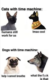 1722613734439210