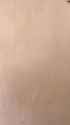 Raja Palembang_thumb.jpg