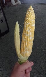 1738165793339941