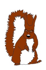 squirrel