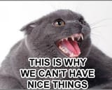 why_we_cant_have_nice_things