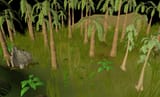 Ape_Atoll