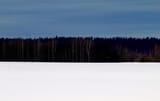 Eesti_lipp