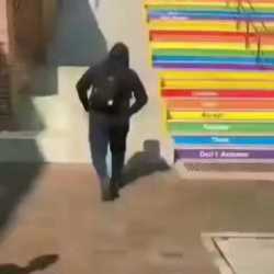 1582285365308_thumb.jpg