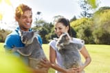 20210716-koala_australia-001-1920x1280
