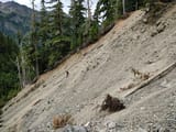 IMG_20230808_135501.75