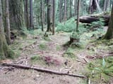 IMG_20230805_190841.75
