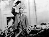 teddy-theodore-roosevelt