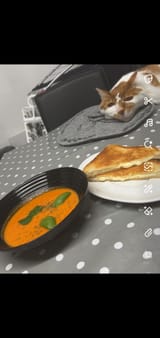 MG_1752226211224
