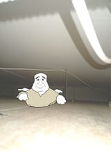 luffpsykflykt