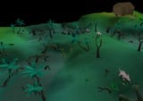 Lumbridge_Swamp