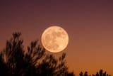 volle-maan