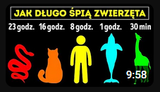 1732628373571608