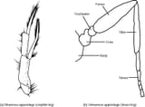Figure_28_04_09