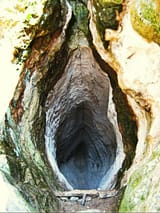 Womb_Cave_TanKaya_BG