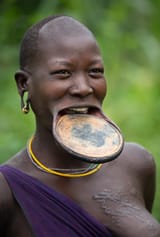 lip plate