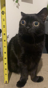 1721892778383756