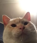 1615263618517