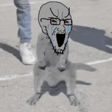 1745464680101174