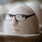 egg