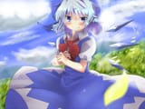 13472061856