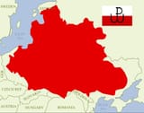 81376412341