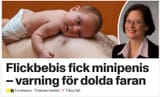 Skärmklipp