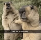 1726437731981459