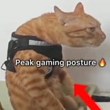 GvcZmbJXkAAdZO4