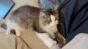ssstwitter.com_1752309465406 (1)_thumb.jpg
