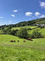 IMG_8478