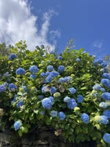 IMG_8480