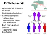 B-Thalassemia+Gene+disorder_+Autosomal+recessive