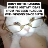 visions