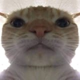 GvpwWRRWUAA8k8D