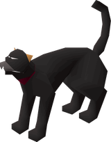 Bob_the_Jagex_cat