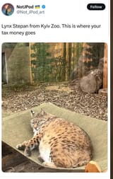 1742827792945784