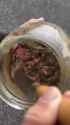 fermented beef enthusiast_thumb.jpg