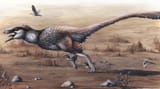 Emily-Willoughby-Dakoraraptor