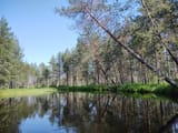 lisää puita