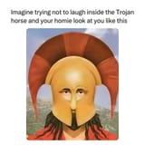 troj