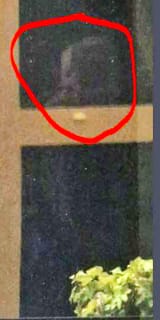 1730207029650489