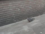 IMG_20250712_213049__01