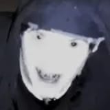 1735146738062235