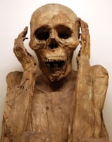 Perù,_cultura_chachapoyas,_mummia_naturale_di_uomo_adulto_e_suo_corredo,_800-1400_dc_ca._02