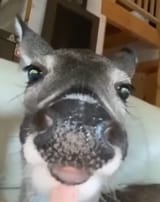 1752356527947065