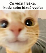 1730600861471733