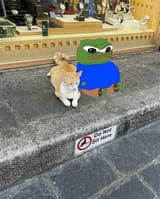 gatito23