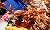 bluecrabfeast