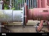 IMG_2984